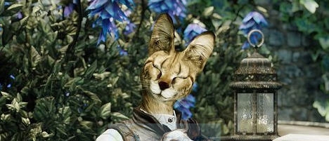 上古卷轴5天际塞瓦尔哈吉特种族MOD v2.4