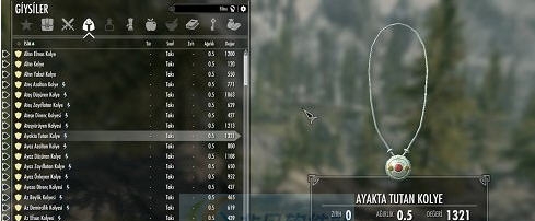 上古卷轴5天际无限戒指和护身符MOD v2.6