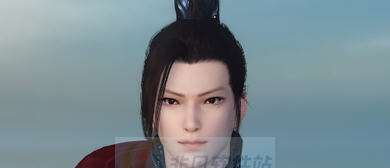 逆水寒贵相男血河捏脸数据 v2.6