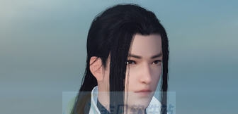 逆水寒贵相男神相捏脸数据 v2.5