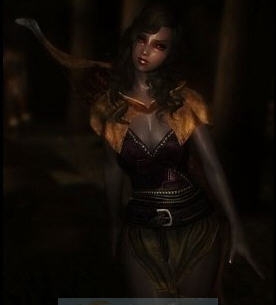 上古卷轴5天际女银追随者MOD v2.4