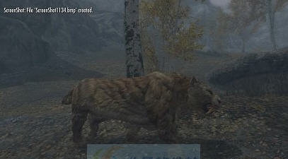 上古卷轴5天际身临其境的剑齿虎MOD v2.7