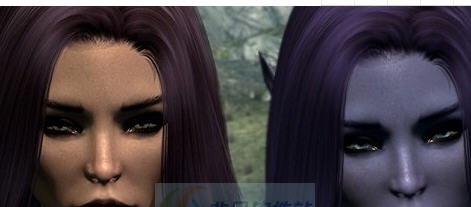 上古卷轴5天际希尔德精灵和人类种族MOD v2.4