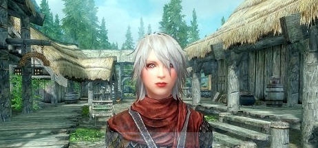 上古卷轴5天际安妮独立双武器追随者MOD v2.4