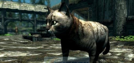 上古卷轴5天际重制版家猫MOD v2.4