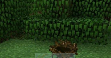我的世界鸟巢MOD v2.4