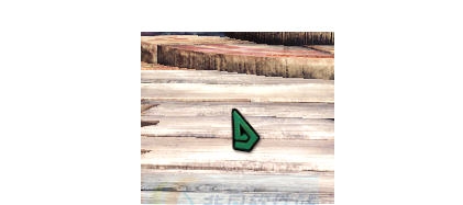 怪物猎人世界将Tex转换为dds格式MOD v2.6