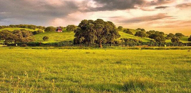 实时绿幕抠像合成软件 v1.12