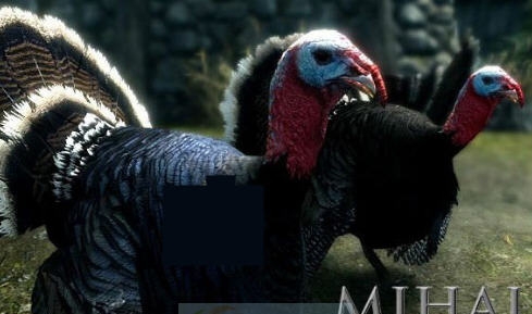 上古卷轴5天际添加了火鸡MOD v2.3