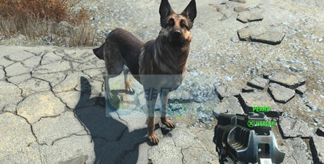 辐射4独立的迷你枪管MOD v2.5