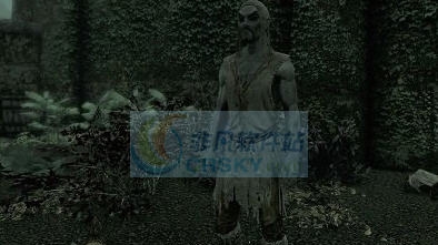 上古卷轴5天际流浪汉的长袍角色扮演MOD v2.4