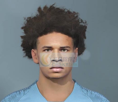 实况足球2019萨内面部补丁 v2.6