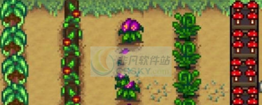 星露谷物语野生作物进农场MOD v2.4