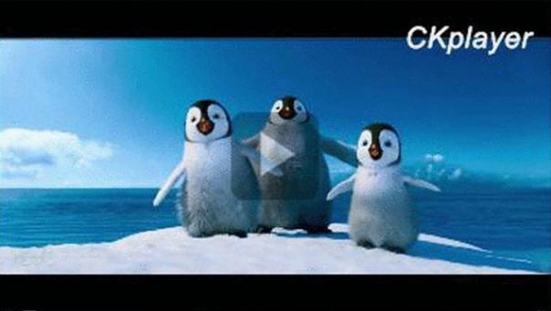 FLV ViewerF4V播放器 v2.6.3.5