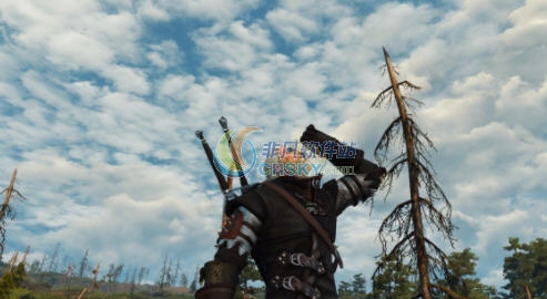 巫师3狂猎新的人物动作MOD v2.7