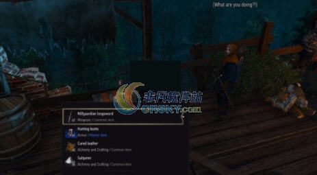 巫师3狂猎随意偷东西MOD v2.5