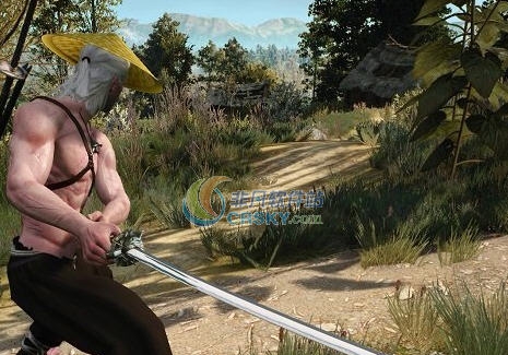 巫师3狂猎八卦项链武士刀MOD v2.5