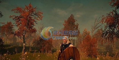巫师3狂猎快速访问口袋项目MOD v2.5