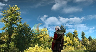巫师3狂猎新月盔甲纹理MOD v2.5