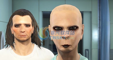 辐射4可爱的夫妻预设MOD v2.3