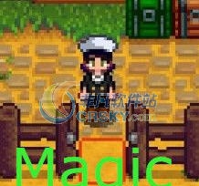 星露谷物语更好的自动门MOD v2.5