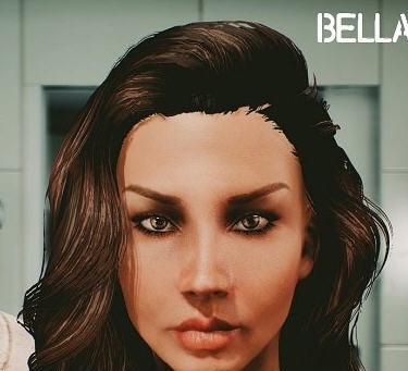 辐射4女性预置包MOD v2.5