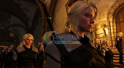 巫师3狂猎雪莉穿着黑色毒蛇盔甲MOD v2.5