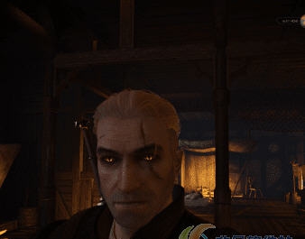 巫师3狂猎发光的眼睛MOD v2.4