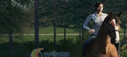 模拟农场19STEAM联机补丁 v2.5