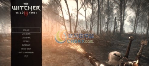 巫师3狂猎火印特效修改MOD v2.3