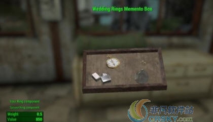 辐射4对戒MOD v2.5