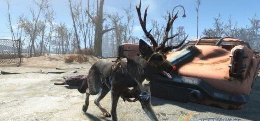 辐射4狗肉的驯鹿服装MOD v2.4