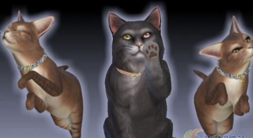模拟人生4闪闪发光的宠物猫项圈MOD v2.4