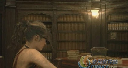 生化危机2重制版艾达受伤版墨镜外观替换克莱尔MOD v2.6