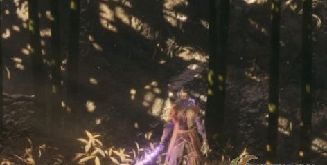 只狼影逝二度超长时间的神之飞雪MOD v2.7