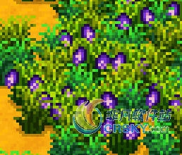 星露谷物语更美丽的草丛MOD v1.34