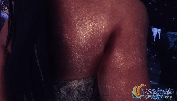 上古卷轴5天际人物身上融雪效果MOD v2.55