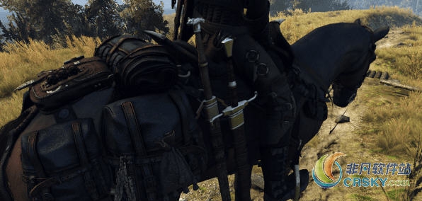 巫师3狂猎可以将剑放在马背上MOD v2.53