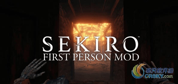 只狼第一人称视角MOD v1.44