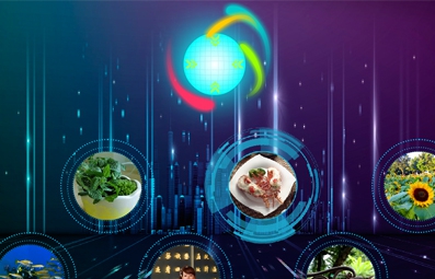 稀点多屏交互软件 v2.3