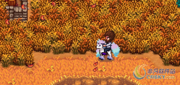 星露谷物语宝可梦剑盾伽勒尔小火马MOD v1.85