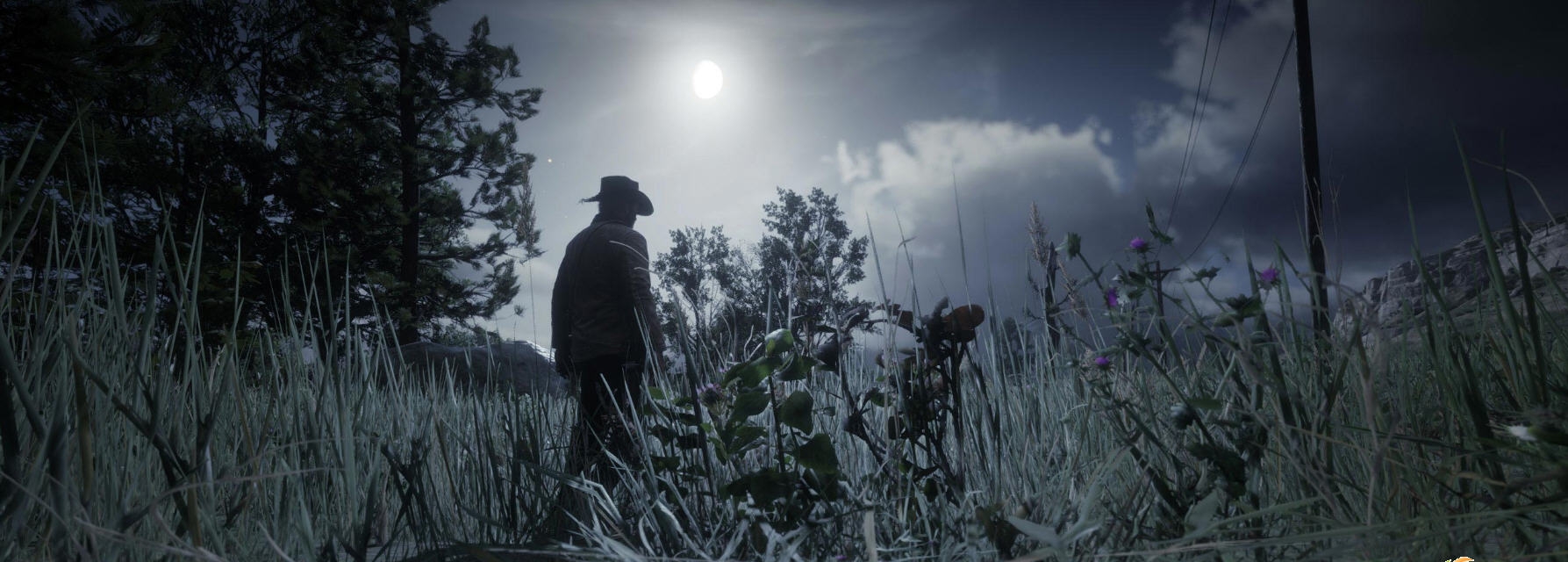 荒野大镖客2自定义白天时间MOD v1.29