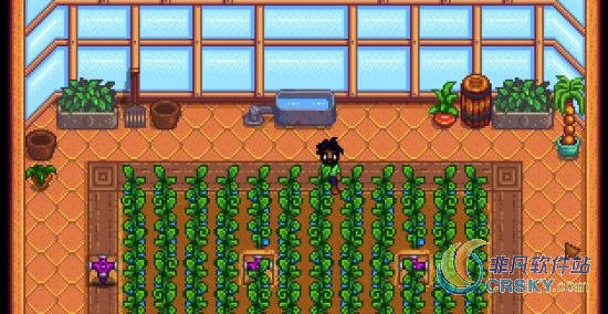 星露谷物语可建造的温室MOD v1.68