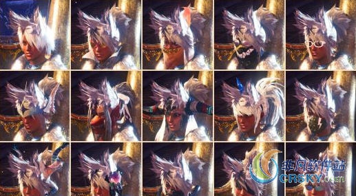 怪物猎人世界野狐狸套MOD v1.92