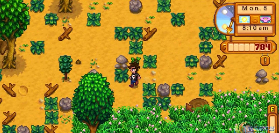 星露谷物语杨桃快速收获MOD v2.55