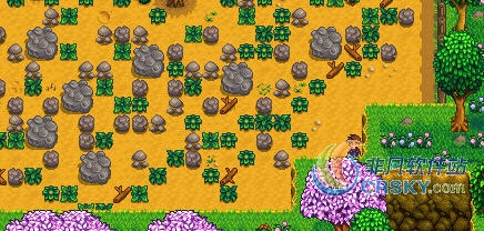 星露谷物语农场边缘优化MOD v2.10