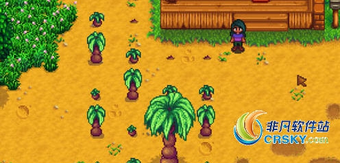 星露谷物语棕榈树可种植MOD v1.69
