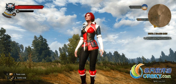 巫师3特丽丝美丽皮甲MOD v2.50