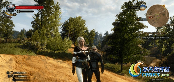 巫师3希里叶奈法风格服装MOD v1.39