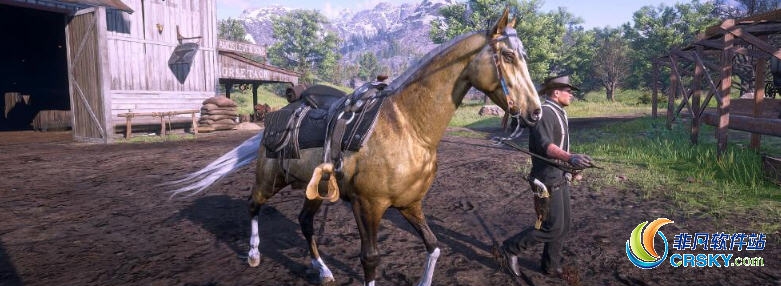 荒野大镖客2第二章阿拉伯马完美存档 v2.47
